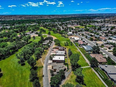 Allen Elmore, eXp Realty, LLC, C: , Allen@AE.Properties,  : on San Juan Country Club in New Mexico - for sale on GolfHomes.com, golf home, golf lot