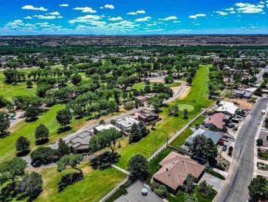 Allen Elmore, eXp Realty, LLC, C: , Allen@AE.Properties,  : on San Juan Country Club in New Mexico - for sale on GolfHomes.com, golf home, golf lot