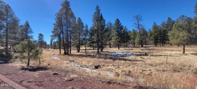 This heavily treed 4.17 acres of lot is located, south and west on Elephant Rocks at Williams in Arizona - for sale on GolfHomes.com, golf home, golf lot