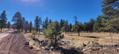 This heavily treed 4.17 acres of lot is located, south and west on Elephant Rocks at Williams in Arizona - for sale on GolfHomes.com, golf home, golf lot