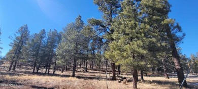 This heavily treed 4.17 acres of lot is located, south and west on Elephant Rocks at Williams in Arizona - for sale on GolfHomes.com, golf home, golf lot