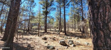 This heavily treed 4.17 acres of lot is located, south and west on Elephant Rocks at Williams in Arizona - for sale on GolfHomes.com, golf home, golf lot