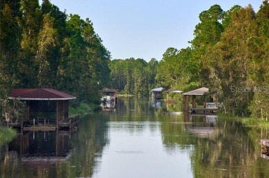 Build your dream home on this half-acre lot in Indian Lake on Indian Lake Estates Golf and Country Club in Florida - for sale on GolfHomes.com, golf home, golf lot