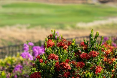 A Rare Opportunity to indulge in low maintenance Luxury living on Hapuna Golf Course in Hawaii - for sale on GolfHomes.com, golf home, golf lot