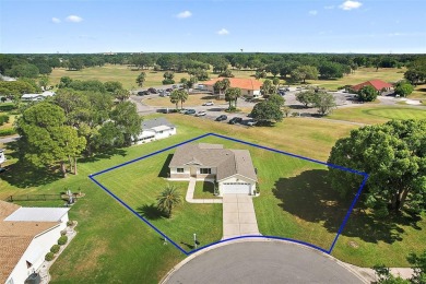 ATTENTION GOLFERS!!!  GOLF COURSE VIEW!!  THIS WELL MAINTAINED on The Links of Spruce Creek in Florida - for sale on GolfHomes.com, golf home, golf lot