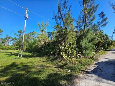 Great price on 3 lots together in the Pineland area! Build your on Alden Pines Golf Club in Florida - for sale on GolfHomes.com, golf home, golf lot