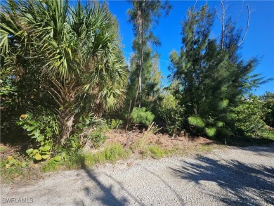 Great price on 3 lots together in the Pineland area! Build your on Alden Pines Golf Club in Florida - for sale on GolfHomes.com, golf home, golf lot