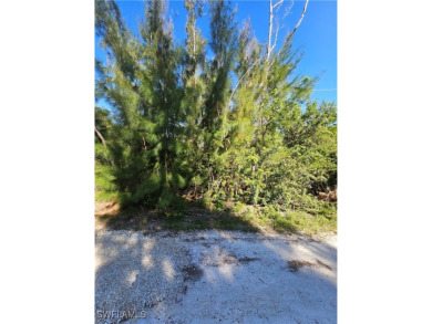 Great price on 3 lots together in the Pineland area! Build your on Alden Pines Golf Club in Florida - for sale on GolfHomes.com, golf home, golf lot