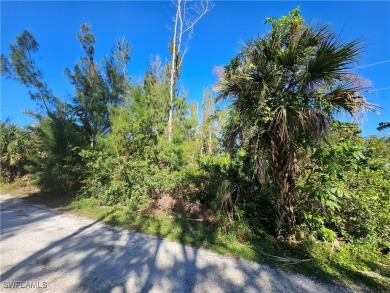 Great price on 3 lots together in the Pineland area! Build your on Alden Pines Golf Club in Florida - for sale on GolfHomes.com, golf home, golf lot