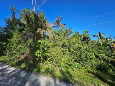 Great price on 3 lots together in the Pineland area! Build your on Alden Pines Golf Club in Florida - for sale on GolfHomes.com, golf home, golf lot