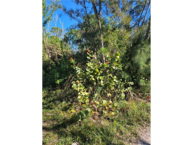 Great price on 3 lots together in the Pineland area! Build your on Alden Pines Golf Club in Florida - for sale on GolfHomes.com, golf home, golf lot