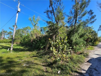 Great price on 3 lots together in the Pineland area! Build your on Alden Pines Golf Club in Florida - for sale on GolfHomes.com, golf home, golf lot