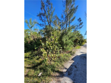 Great price on 3 lots together in the Pineland area! Build your on Alden Pines Golf Club in Florida - for sale on GolfHomes.com, golf home, golf lot