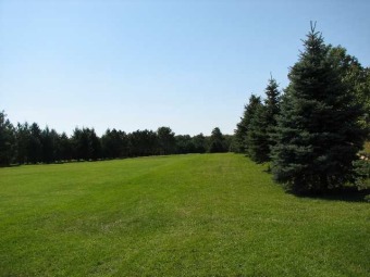 Wooded 1/2 acre buildable lot with private views of the greens on White Lake Country Club in Wisconsin - for sale on GolfHomes.com, golf home, golf lot