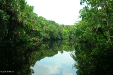 A 2 Bedroom with a Den/2 Bath end unit in the Woodside on Spruce Creek Golf Club in Florida - for sale on GolfHomes.com, golf home, golf lot