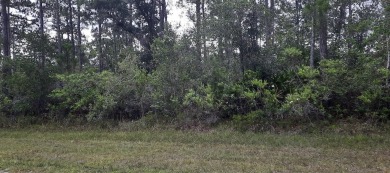 Come build your forever home on this ONE ACRE lot that located on Indian Lake Estates Golf and Country Club in Florida - for sale on GolfHomes.com, golf home, golf lot