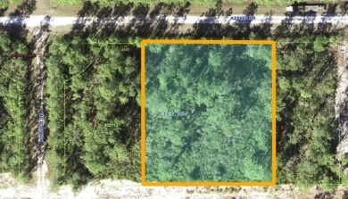 Come build your forever home on this ONE ACRE lot that located on Indian Lake Estates Golf and Country Club in Florida - for sale on GolfHomes.com, golf home, golf lot