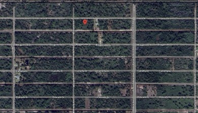 Come build your forever home on this ONE ACRE lot that located on Indian Lake Estates Golf and Country Club in Florida - for sale on GolfHomes.com, golf home, golf lot