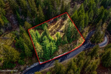 Discover this READY-TO-BUILD lot on ''Moose Mountain'' in the on The Idaho Club in Idaho - for sale on GolfHomes.com, golf home, golf lot