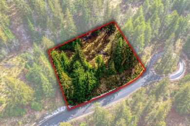 Discover this READY-TO-BUILD lot on ''Moose Mountain'' in the on The Idaho Club in Idaho - for sale on GolfHomes.com, golf home, golf lot