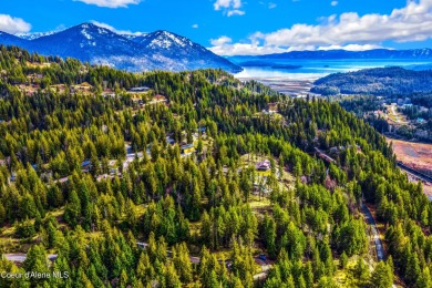 Discover this READY-TO-BUILD lot on ''Moose Mountain'' in the on The Idaho Club in Idaho - for sale on GolfHomes.com, golf home, golf lot