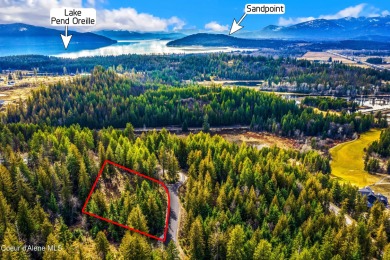 Discover this READY-TO-BUILD lot on ''Moose Mountain'' in the on The Idaho Club in Idaho - for sale on GolfHomes.com, golf home, golf lot