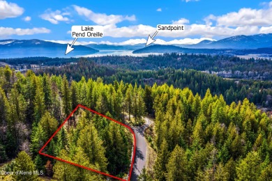 Discover this READY-TO-BUILD lot on ''Moose Mountain'' in the on The Idaho Club in Idaho - for sale on GolfHomes.com, golf home, golf lot