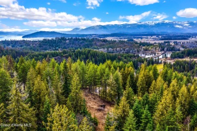 Discover this READY-TO-BUILD lot on ''Moose Mountain'' in the on The Idaho Club in Idaho - for sale on GolfHomes.com, golf home, golf lot