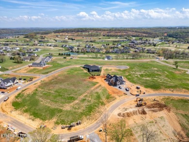 A lake view lot at an unbeatable price! Discover the essence of on Tennessee National Golf Club in Tennessee - for sale on GolfHomes.com, golf home, golf lot