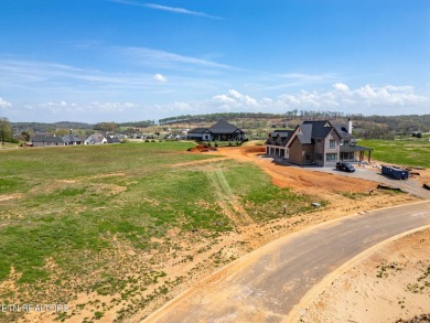 A lake view lot at an unbeatable price! Discover the essence of on Tennessee National Golf Club in Tennessee - for sale on GolfHomes.com, golf home, golf lot
