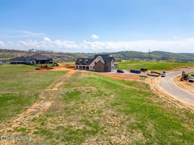 A lake view lot at an unbeatable price! Discover the essence of on Tennessee National Golf Club in Tennessee - for sale on GolfHomes.com, golf home, golf lot