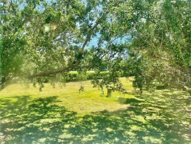 Step into the welcoming embrace of this charming 2 Bed/2 Bath on On Top Of The World Golf Course in Florida - for sale on GolfHomes.com, golf home, golf lot