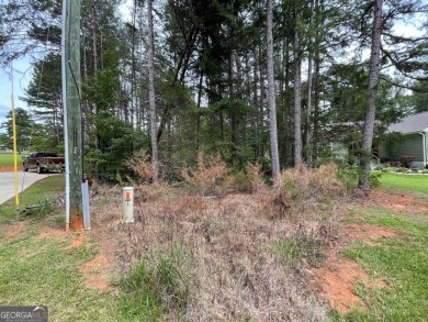 Discover the perfect setting for your dream home or vacation on The Trail At Chickasaw Pointe in South Carolina - for sale on GolfHomes.com, golf home, golf lot