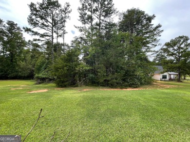 Discover the perfect setting for your dream home or vacation on The Trail At Chickasaw Pointe in South Carolina - for sale on GolfHomes.com, golf home, golf lot