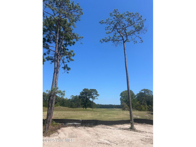 A gorgeous new home on the fairways of the prestigious Tiger's on Ocean Ridge Plantation in North Carolina - for sale on GolfHomes.com, golf home, golf lot