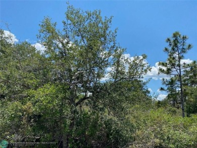 Rural Living at its best!   Enjoy inexpensive golf on an on Indian Lake Estates Golf and Country Club in Florida - for sale on GolfHomes.com, golf home, golf lot
