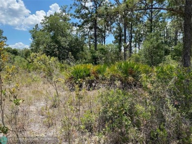 Rural Living at its best!   Enjoy inexpensive golf on an on Indian Lake Estates Golf and Country Club in Florida - for sale on GolfHomes.com, golf home, golf lot