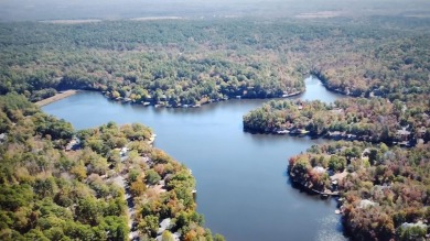 BRAND NEW ROOF on this WATERFRONT Charmer on Lake Pineda! Enjoy on Coronado Golf Course in Arkansas - for sale on GolfHomes.com, golf home, golf lot