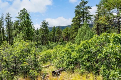 A south-facing lot in Perry Park offering nearly one acre of on Perry Park Country Club in Colorado - for sale on GolfHomes.com, golf home, golf lot