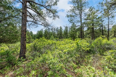 A south-facing lot in Perry Park offering nearly one acre of on Perry Park Country Club in Colorado - for sale on GolfHomes.com, golf home, golf lot