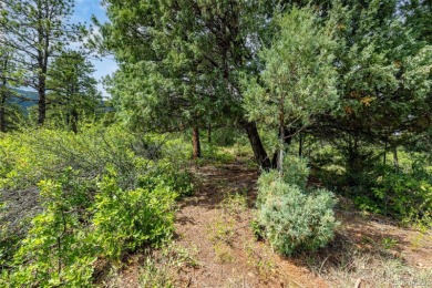 A south-facing lot in Perry Park offering nearly one acre of on Perry Park Country Club in Colorado - for sale on GolfHomes.com, golf home, golf lot