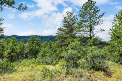 A south-facing lot in Perry Park offering nearly one acre of on Perry Park Country Club in Colorado - for sale on GolfHomes.com, golf home, golf lot