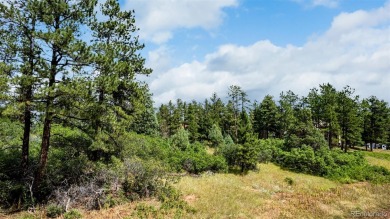 A south-facing lot in Perry Park offering nearly one acre of on Perry Park Country Club in Colorado - for sale on GolfHomes.com, golf home, golf lot