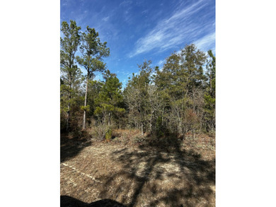 High and Dry Buildable Lot in the Sunny Hills Community, an on Sunny Hills Golf and Country Club in Florida - for sale on GolfHomes.com, golf home, golf lot