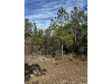 High and Dry Buildable Lot in the Sunny Hills Community, an on Sunny Hills Golf and Country Club in Florida - for sale on GolfHomes.com, golf home, golf lot