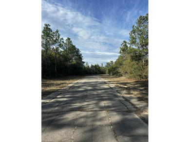 High and Dry Buildable Lot in the Sunny Hills Community, an on Sunny Hills Golf and Country Club in Florida - for sale on GolfHomes.com, golf home, golf lot