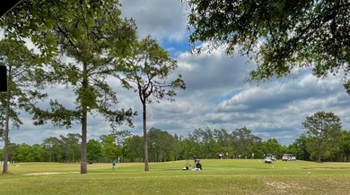 High and Dry Buildable Lot in the Sunny Hills Community, an on Sunny Hills Golf and Country Club in Florida - for sale on GolfHomes.com, golf home, golf lot