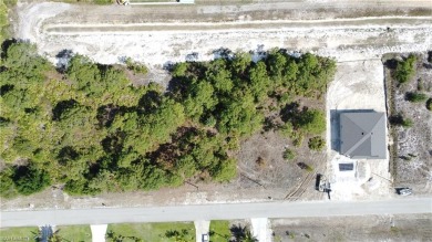 **SIDE-BY-SIDE lots available, with a canal in the back!** Other on Copperhead Golf Club in Florida - for sale on GolfHomes.com, golf home, golf lot