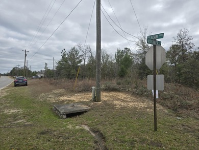 High and Dry Buildable Lot in the Sunny Hills Community, an on Sunny Hills Golf and Country Club in Florida - for sale on GolfHomes.com, golf home, golf lot