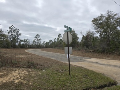 High and Dry Buildable Lot in the Sunny Hills Community, an on Sunny Hills Golf and Country Club in Florida - for sale on GolfHomes.com, golf home, golf lot